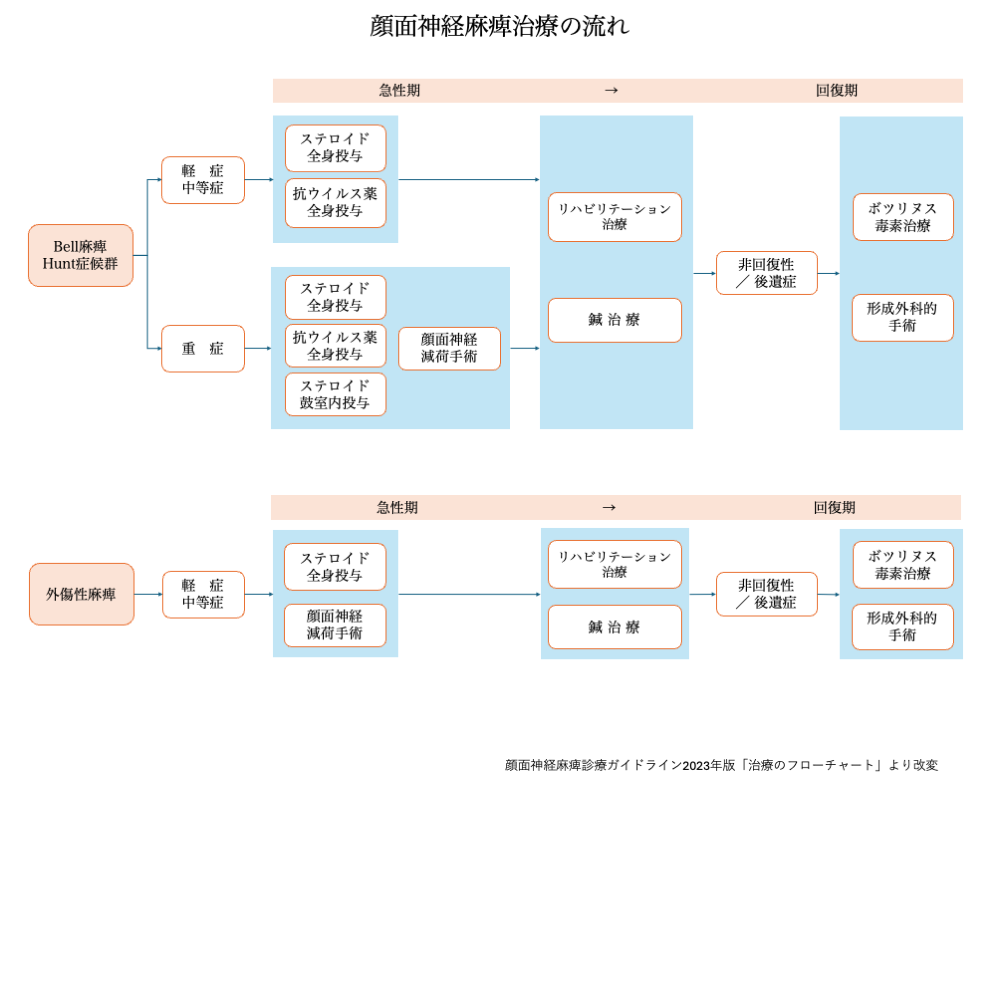 顔面神経麻痺治療の流れ